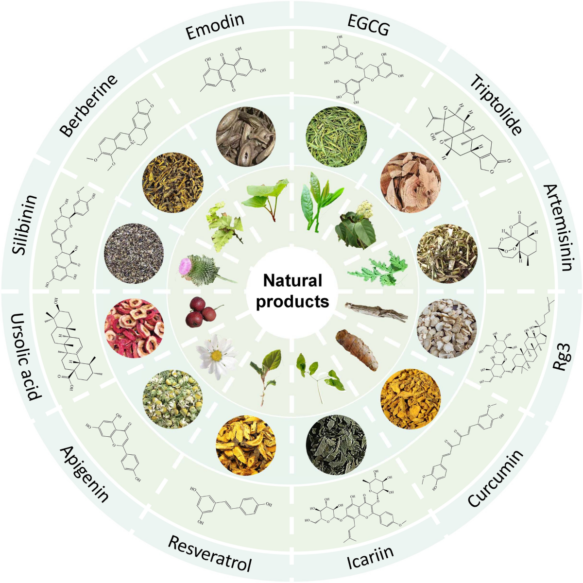 Liver Cleanse Bundle