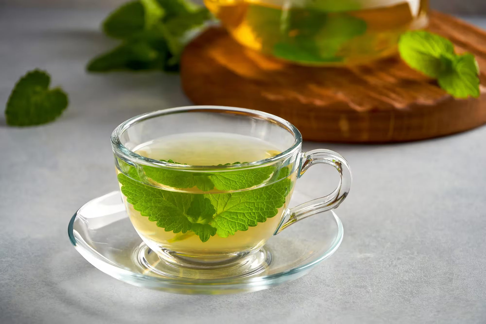 Lemon Balm