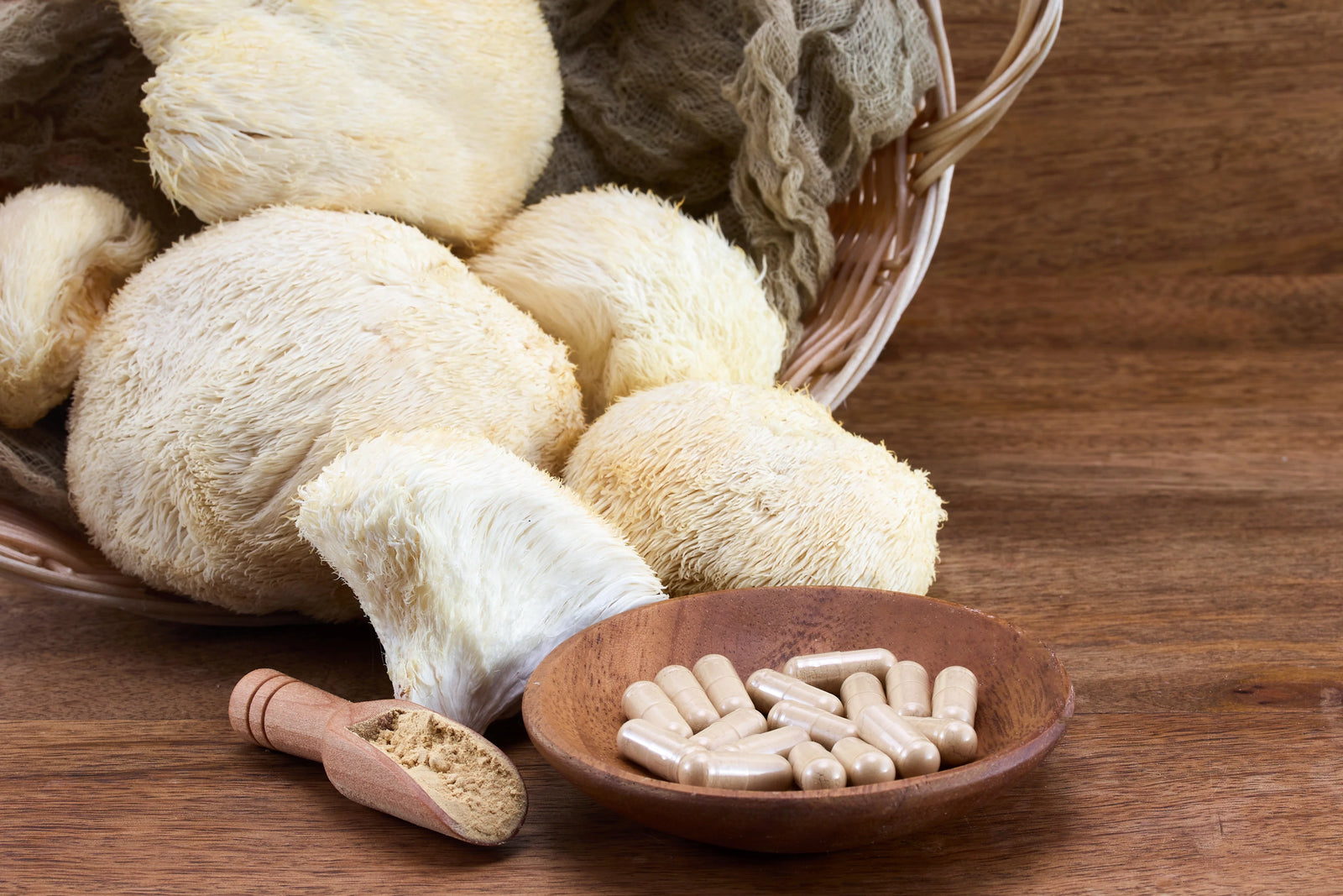 Lion’s Mane Mushroom