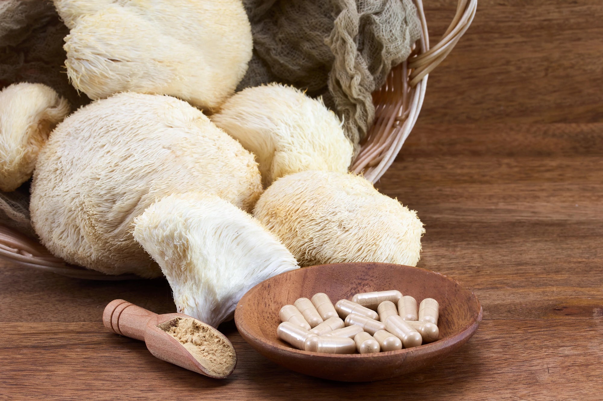 Lion’s Mane Mushroom