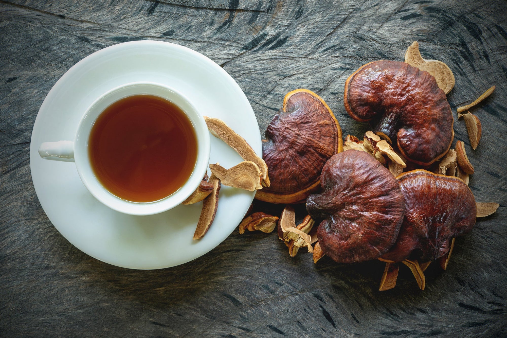 Reishi Mushroom